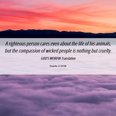 Picture 06 - Proverbs 12:10 GW - A righteous person cares even about the life of - Bible Verse Picture