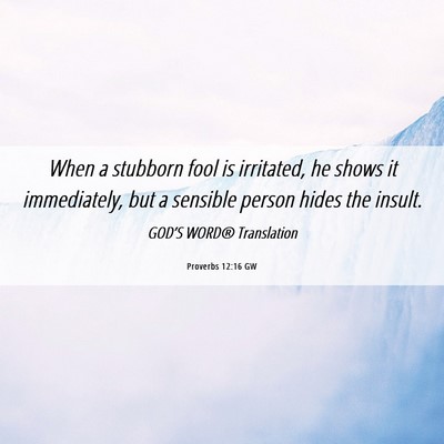 Picture 06 - Proverbs 12:16 GW - When a stubborn fool is irritated, he shows it - Bible Verse Picture