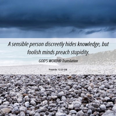 Picture 06 - Proverbs 12:23 GW - A sensible person discreetly hides knowledge, but - Bible Verse Picture