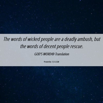 Picture 06 - Proverbs 12:6 GW - The words of wicked people are a deadly ambush, - Bible Verse Picture
