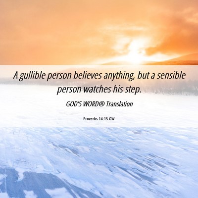 Picture 06 - Proverbs 14:15 GW - A gullible person believes anything, but a - Bible Verse Picture