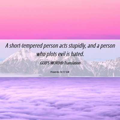 Picture 06 - Proverbs 14:17 GW - A short-tempered person acts stupidly, and a - Bible Verse Picture
