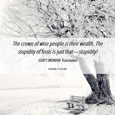 Picture 06 - Proverbs 14:24 GW - The crown of wise people is their wealth. The - Bible Verse Picture