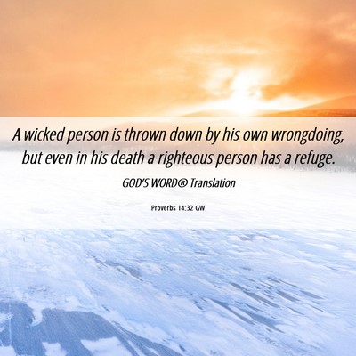 Picture 06 - Proverbs 14:32 GW - A wicked person is thrown down by his own - Bible Verse Picture