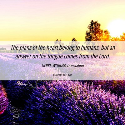 Picture 06 - Proverbs 16:1 GW - The plans of the heart belong to humans, but an - Bible Verse Picture