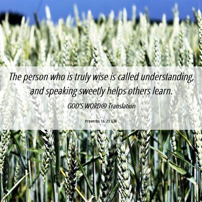 Picture 06 - Proverbs 16:21 GW - The person who is truly wise is called - Bible Verse Picture