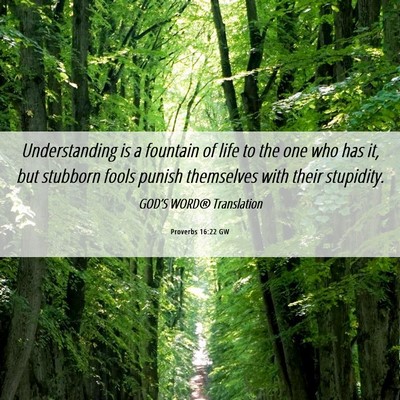 Picture 06 - Proverbs 16:22 GW - Understanding is a fountain of life to the one - Bible Verse Picture