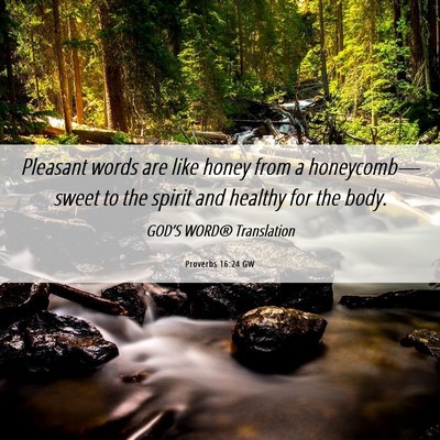 Picture 06 - Proverbs 16:24 GW - Pleasant words are like honey from a honeycomb— - Bible Verse Picture