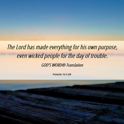 Picture 06 - Proverbs 16:4 GW - The Lord has made everything for his own purpose, - Bible Verse Picture