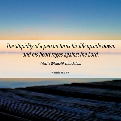 Picture 06 - Proverbs 19:3 GW - The stupidity of a person turns his life upside - Bible Verse Picture