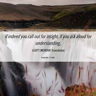 Picture 06 - Proverbs 2:3 GW - if indeed you call out for insight, if you ask - Bible Verse Picture