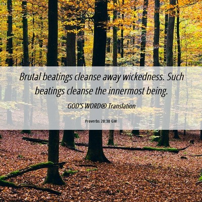 Picture 06 - Proverbs 20:30 GW - Brutal beatings cleanse away wickedness. Such - Bible Verse Picture