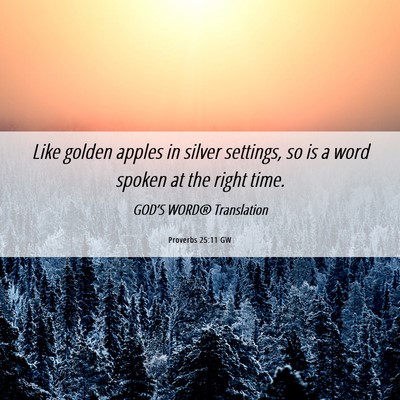 Picture 06 - Proverbs 25:11 GW - Like golden apples in silver settings, so is a - Bible Verse Picture