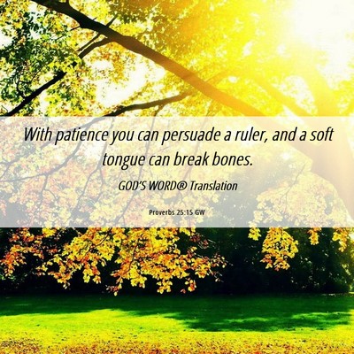 Picture 06 - Proverbs 25:15 GW - With patience you can persuade a ruler, and a - Bible Verse Picture