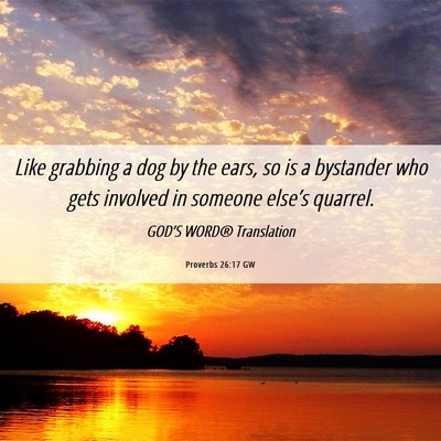 Picture 06 - Proverbs 26:17 GW - Like grabbing a dog by the ears, so is a - Bible Verse Picture