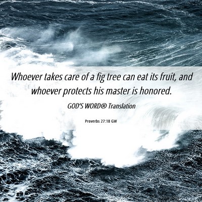 Picture 06 - Proverbs 27:18 GW - Whoever takes care of a fig tree can eat its - Bible Verse Picture