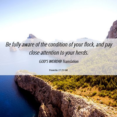 Picture 06 - Proverbs 27:23 GW - Be fully aware of the condition of your flock, - Bible Verse Picture