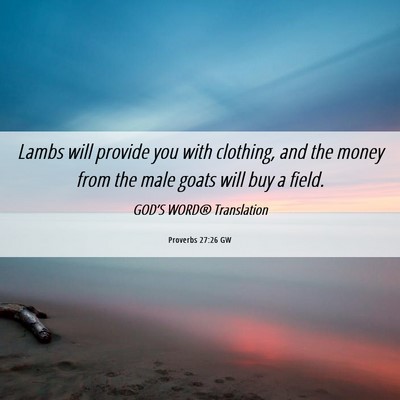 Picture 06 - Proverbs 27:26 GW - Lambs will provide you with clothing, and the - Bible Verse Picture