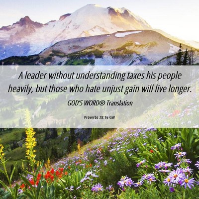 Picture 06 - Proverbs 28:16 GW - A leader without understanding taxes his people - Bible Verse Picture