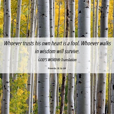 Picture 06 - Proverbs 28:26 GW - Whoever trusts his own heart is a fool. Whoever - Bible Verse Picture