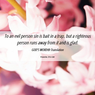 Picture 06 - Proverbs 29:6 GW - To an evil person sin is bait in a trap, but a - Bible Verse Picture