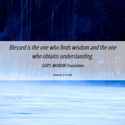 Picture 06 - Proverbs 3:13 GW - Blessed is the one who finds wisdom and the one - Bible Verse Picture