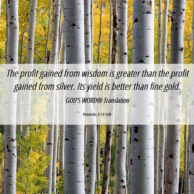 Picture 06 - Proverbs 3:14 GW - The profit gained from wisdom is greater than the - Bible Verse Picture
