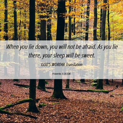 Picture 06 - Proverbs 3:24 GW - When you lie down, you will not be afraid. As you - Bible Verse Picture