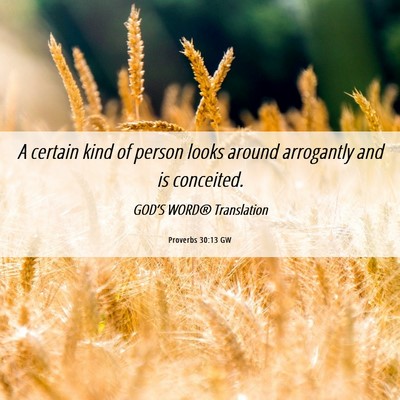 Picture 06 - Proverbs 30:13 GW - A certain kind of person looks around arrogantly - Bible Verse Picture