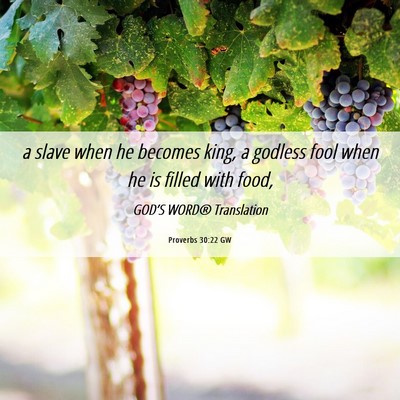 Picture 06 - Proverbs 30:22 GW - a slave when he becomes king, a godless fool when - Bible Verse Picture