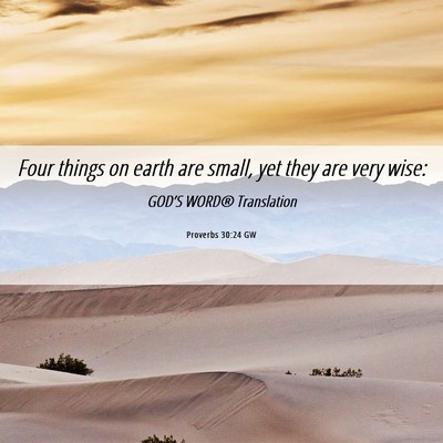 Picture 06 - Proverbs 30:24 GW - Four things on earth are small, yet they are very - Bible Verse Picture
