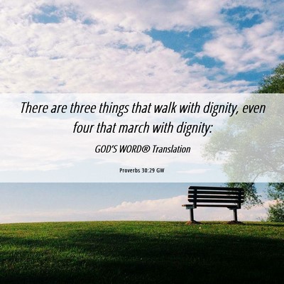Picture 06 - Proverbs 30:29 GW - There are three things that walk with dignity, - Bible Verse Picture
