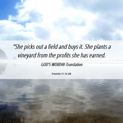 Picture 06 - Proverbs 31:16 GW - “She picks out a field and buys it. She plants - Bible Verse Picture