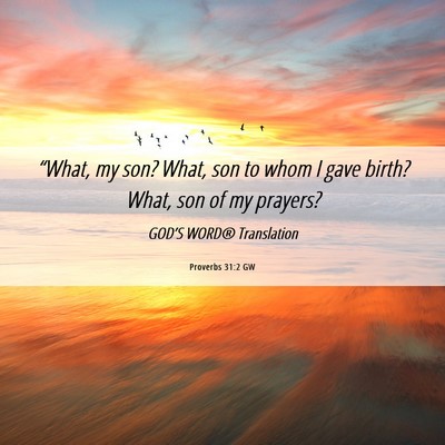 Picture 06 - Proverbs 31:2 GW - “What, my son? What, son to whom I gave birth? - Bible Verse Picture
