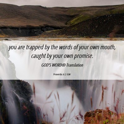 Picture 06 - Proverbs 6:2 GW - you are trapped by the words of your own mouth, - Bible Verse Picture