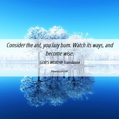 Picture 06 - Proverbs 6:6 GW - Consider the ant, you lazy bum. Watch its ways, - Bible Verse Picture