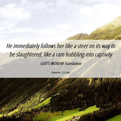 Picture 06 - Proverbs 7:22 GW - He immediately follows her like a steer on its - Bible Verse Picture