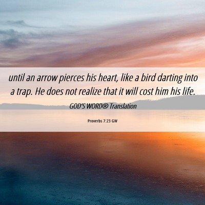 Picture 06 - Proverbs 7:23 GW - until an arrow pierces his heart, like a bird - Bible Verse Picture
