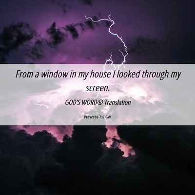 Picture 06 - Proverbs 7:6 GW - From a window in my house I looked through my - Bible Verse Picture