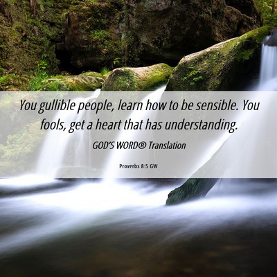 Picture 06 - Proverbs 8:5 GW - You gullible people, learn how to be sensible. - Bible Verse Picture