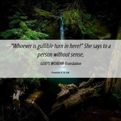 Picture 06 - Proverbs 9:16 GW - “Whoever is gullible turn in here!” She says - Bible Verse Picture