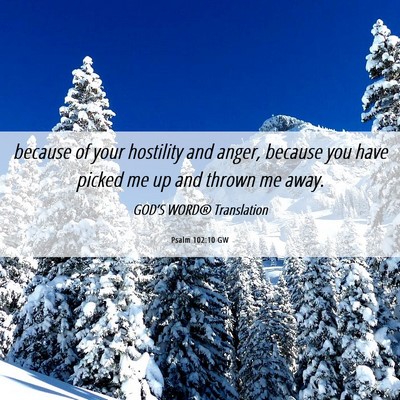 Picture 06 - Psalm 102:10 GW - because of your hostility and anger, because you - Bible Verse Picture