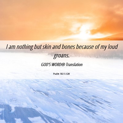 Picture 06 - Psalm 102:5 GW - I am nothing but skin and bones because of my - Bible Verse Picture