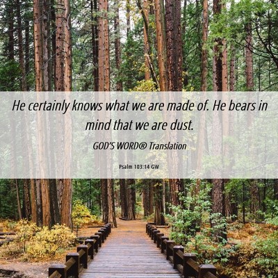 Picture 06 - Psalm 103:14 GW - He certainly knows what we are made of. He bears - Bible Verse Picture