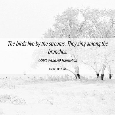 Picture 06 - Psalm 104:12 GW - The birds live by the streams. They sing among - Bible Verse Picture