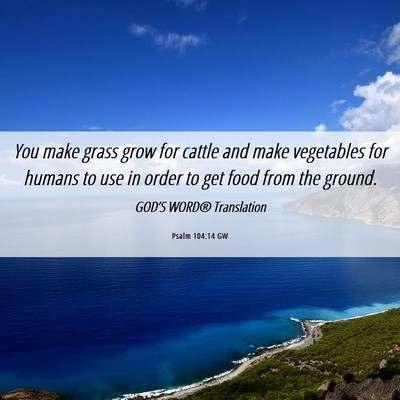 Picture 06 - Psalm 104:14 GW - You make grass grow for cattle and make - Bible Verse Picture