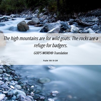 Picture 06 - Psalm 104:18 GW - The high mountains are for wild goats. The rocks - Bible Verse Picture