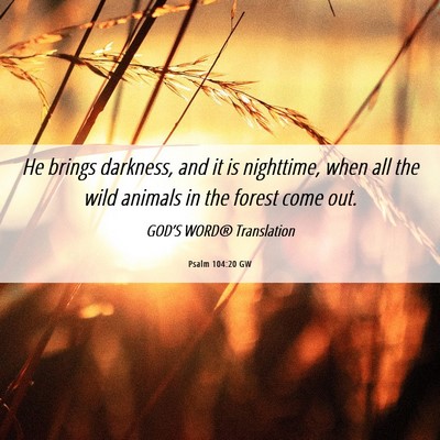 Picture 06 - Psalm 104:20 GW - He brings darkness, and it is nighttime, when all - Bible Verse Picture