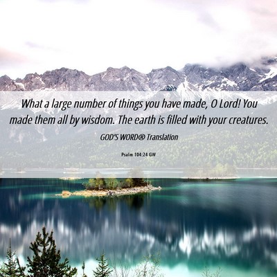 Picture 06 - Psalm 104:24 GW - What a large number of things you have made, O - Bible Verse Picture