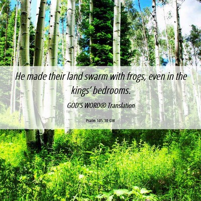 Picture 06 - Psalm 105:30 GW - He made their land swarm with frogs, even in the - Bible Verse Picture